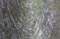 Bottisham fibreglass roof work